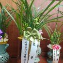 삼주건축사사무소 - 강서구 공항대로 247 | 삼주건축사사무소