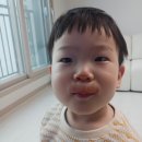 인생아구찜영등
