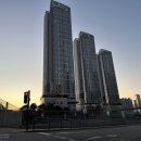 아이메드 | 녹십자아이메드 서울숲 후기 (주차 / 소요시간)