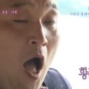 지안정 네이버블로그
