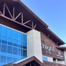 강원식당 | 하이원리조트 마운틴콘도 T동 테라스스위트 후기 (+셔틀,스키장,식당,강원랜드)