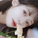 주식회사 패닉버튼