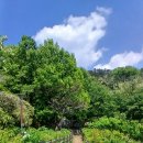 창원 삼정자동 마애여래좌상 이미지