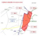 강남-129 이미지