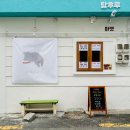 디자인보