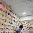 2026.8.30(일)저여대장님 오토큐실내암장 이미지