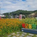 펜션단지 이미지