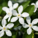 부자주유소 이미지