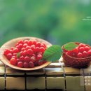 앵두 - 중랑구 망우로 216-10 | 앵두