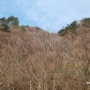 1288 | 오지산행후기(1288차) 두릅순 정찰산행 2025.04.16(수)