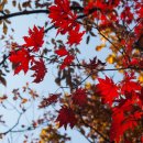 보인한의원 이미지