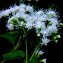 천문대입구 이미지