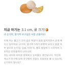 임신 10주차 증상 초음파 니프티 몸무게 변화 마미톡 바코드 종류