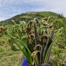 금당목장 이미지