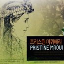 주식회사 진성유통 이미지