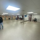 고흥동물약국 | 제주도 차량선적 배타고 다녀오기 고흥 녹동항 제주항 / 아리온 제주호 왕복 후기