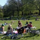 A tale of two parks: Enjoying the sun in wealthy Manhattan, social distancing under police scrutiny in the Bronx by Marquise FrancisNational Reporter 이미지