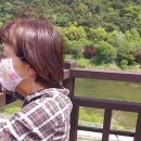 섬진칼국수 이미지