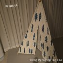 올해도 나는 블생접속! | [습관 챌린지] 351일~357일차.