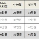 제주애단비 마주 이미지