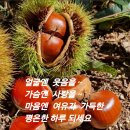 청곡 드립니다 이미지