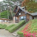 안면도자연휴양림 이미지