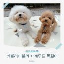 강아지나라 | 반려견 인식표 추천 | 러블리버블리 자개무드 강아지목걸이 후기