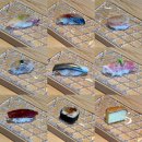 참나무한의원 | [일산서구 대화동 맛집] 킨텍스 스시 오마카세맛집 '스시이카리' 런치오마카세 추천