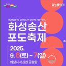 송산포도