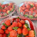 까페언니 이미지