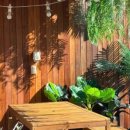 애견풀하우스 이미지