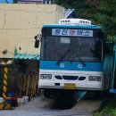 동진버스 이미지