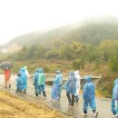 비단강숲마을 이미지