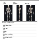 움직임퍼스널트레이닝 이미지