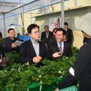 박정현농장 이미지