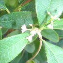 계화농장 이미지