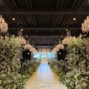 11545-10-26-13 | 수원•용인 웨딩홀 [아이티컨벤션] 26년도 예식 계약 및 뷔페 시식 솔직 후기