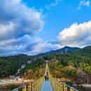 장수보건진료소 | 거창여행 아너드 투어 버스여행으로 떠난 국내당일여행 후기(임불리수양벚꽃/덕천서원/수승대출렁다리)