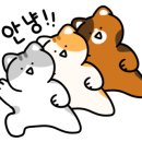 펫마트김해율하