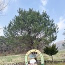 최강키즈태권도장 | 서울 근교 양평 가볼만한곳 양떼목장 가성비 최고!