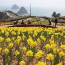 코리아둘레길 「남파랑길」(해남구간) 이미지