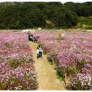 코뚜레목장 이미지