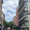 쿠키라인 좋은나들가게 | 센트럴파크 포토스팟, picolacuccina, 소호거리 르뱅쿠키, 할랄가이즈, 더 하이라인, anita 젤라또ㅣ3일차