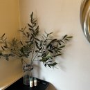 제이드비뇨기과의원 이미지