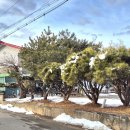 가우디농장 이미지