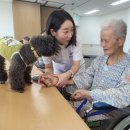 칠곡군립노인요양병원 | [언론보도] 칠곡군립노인요양병원·대구보건대, 반려동물 치매·노인성 질환 치료 협약 (2025.6.15)