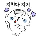 의성신발