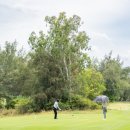 오션뷰골프아카데미 | 베트남 다낭 골프여행 후기 : 골프장 네 곳 비교