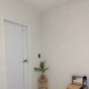 비비오네 이미지