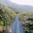 창정농장 이미지